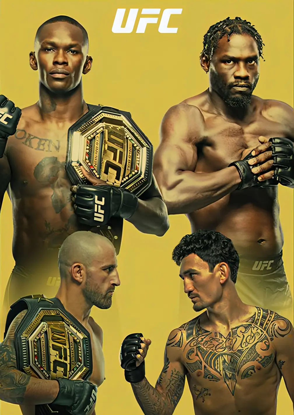 UFC mixed martial arts fighters poster